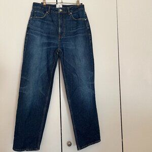 Anine Bing Jeans size 27 great condition 'Clyde'